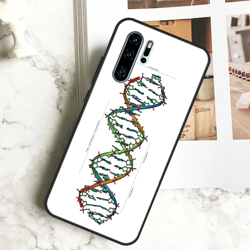 科学 DNA 生物学 Huawei 社ノヴァ 7i 8i 1 - Science Nova のレビューと価格